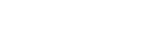  DISTRIBUIDORES AUTORIZADOS